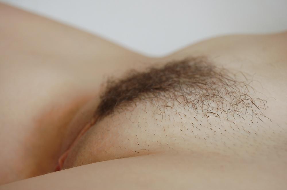 17P FRENCH PUSSY