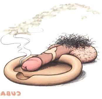 6P World Dick