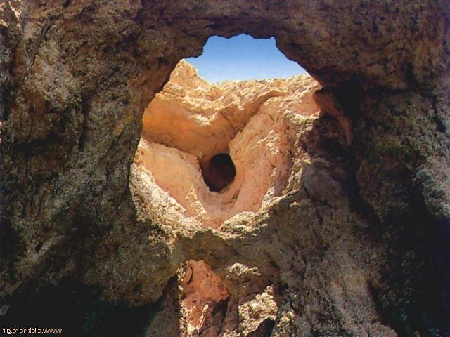 10P Nature talk about sex