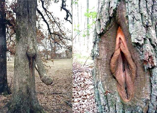 10P Nature talk about sex