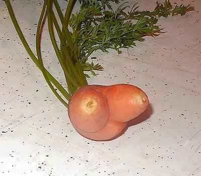 10P Nature talk about sex