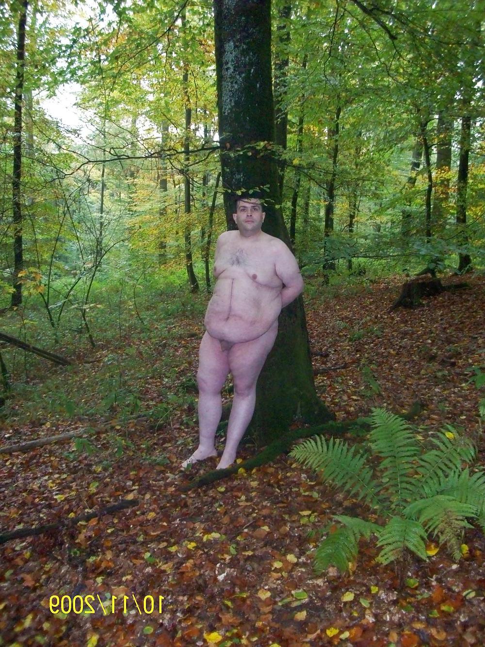 9P In the forest