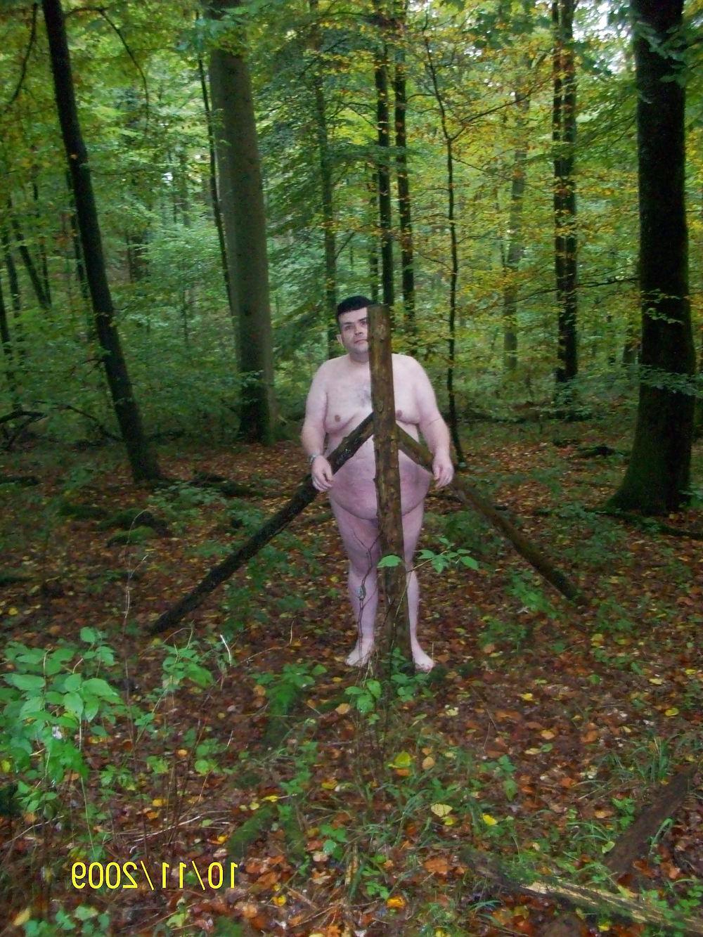 9P In the forest