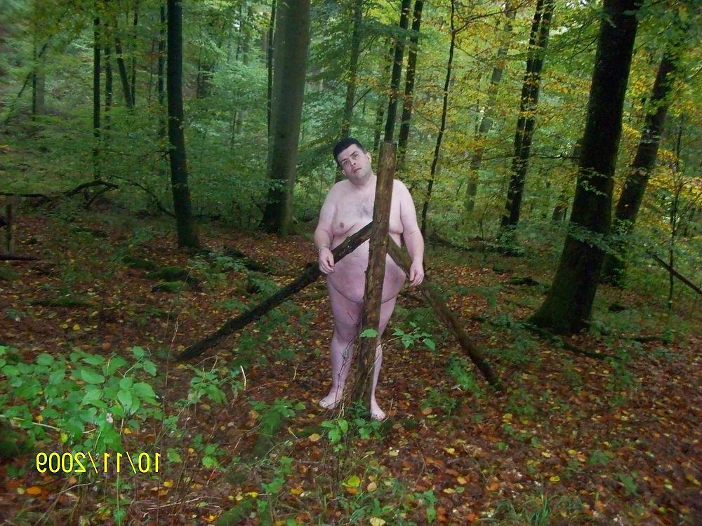 9P In the forest