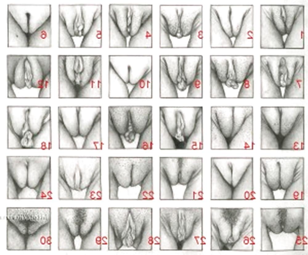25P Hentai 3d 7