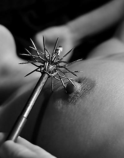 25P TB-collection Pain or Lust XVIII