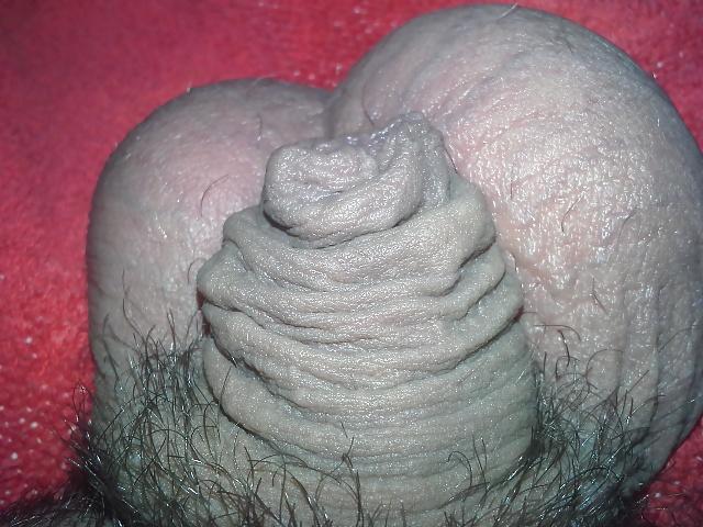 7P My small tiny dick