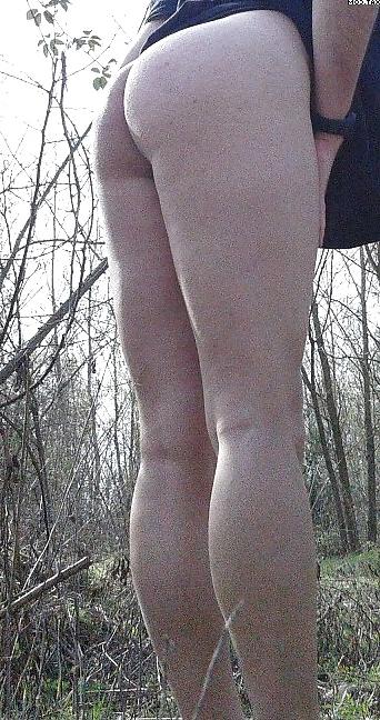 11P Ass forest 3