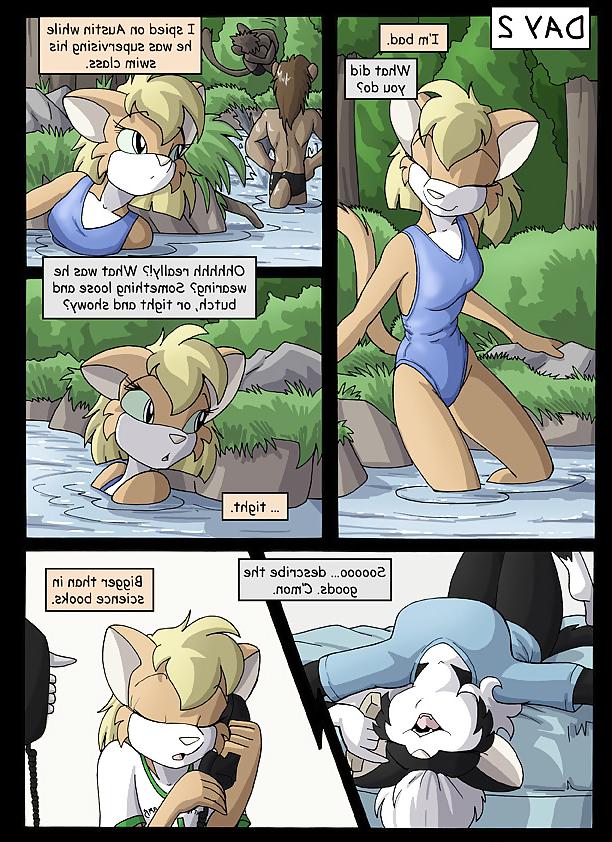 25P Furry--Little Lamb