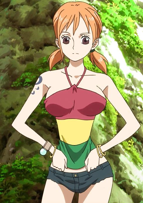 25P One Piece Hentai - Nami 