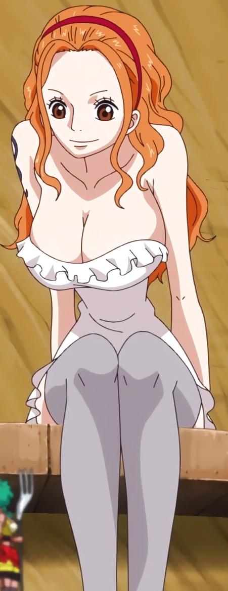 25P One Piece Hentai - Nami 