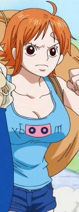 25P One Piece Hentai - Nami 