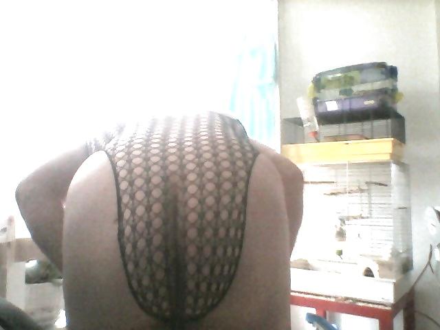 14P Net suit