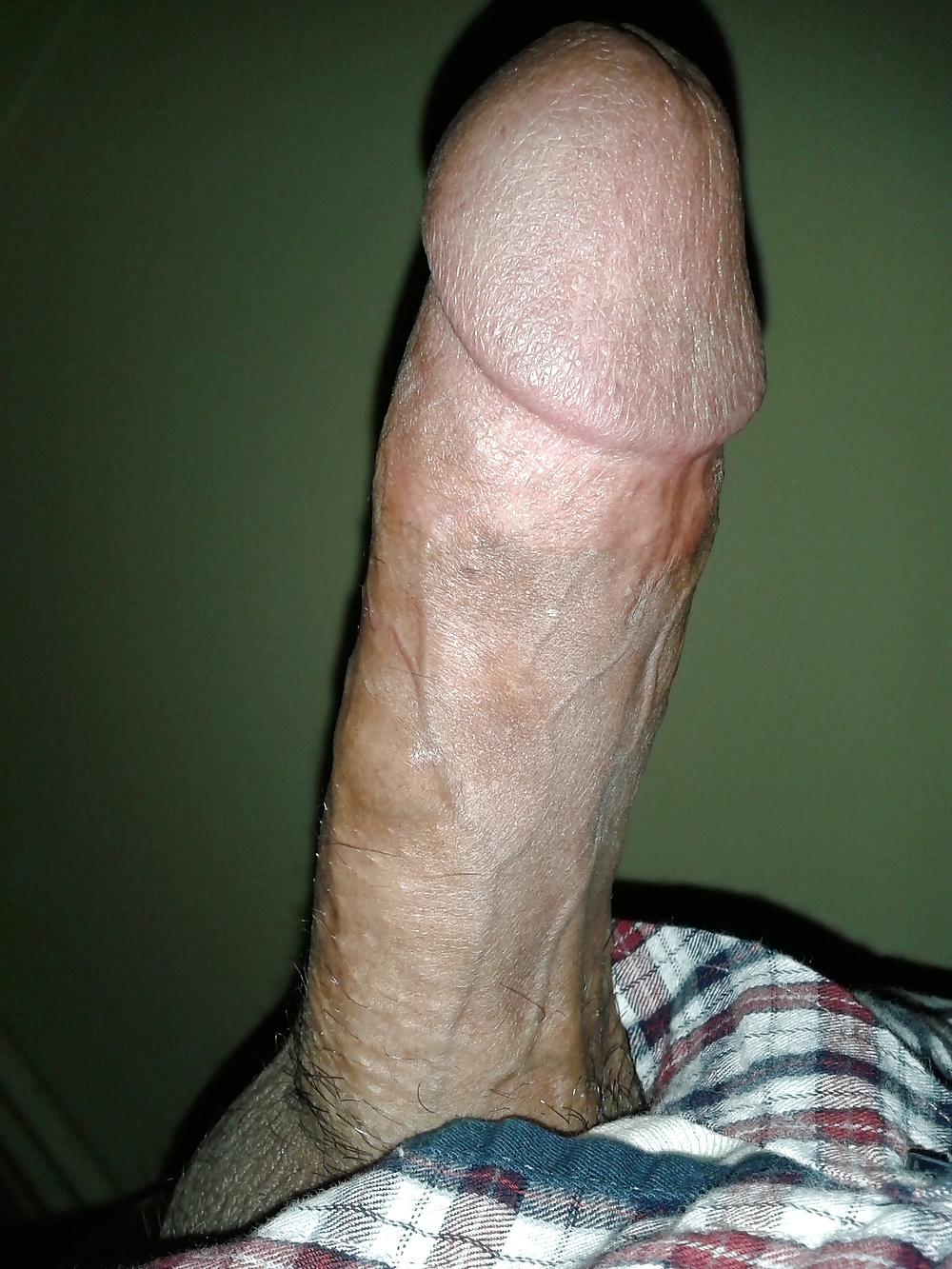 13P Yarrak, Penis, Dick