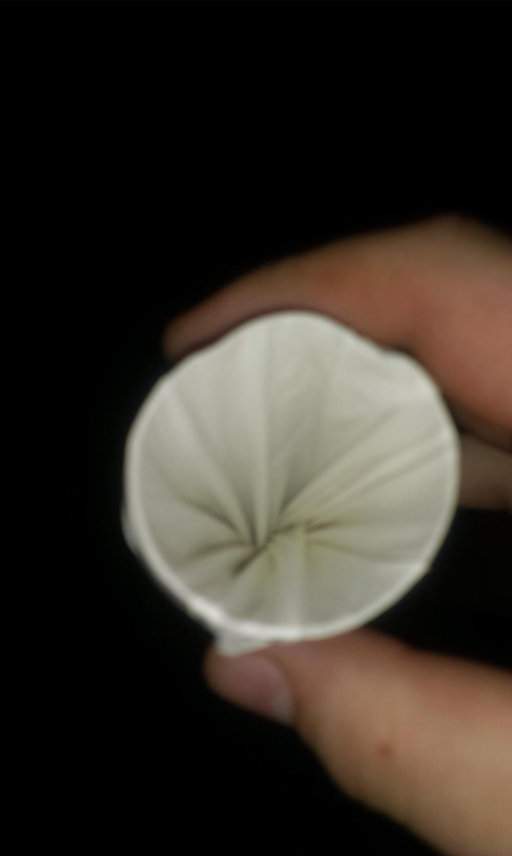 19P Self made sex toy 