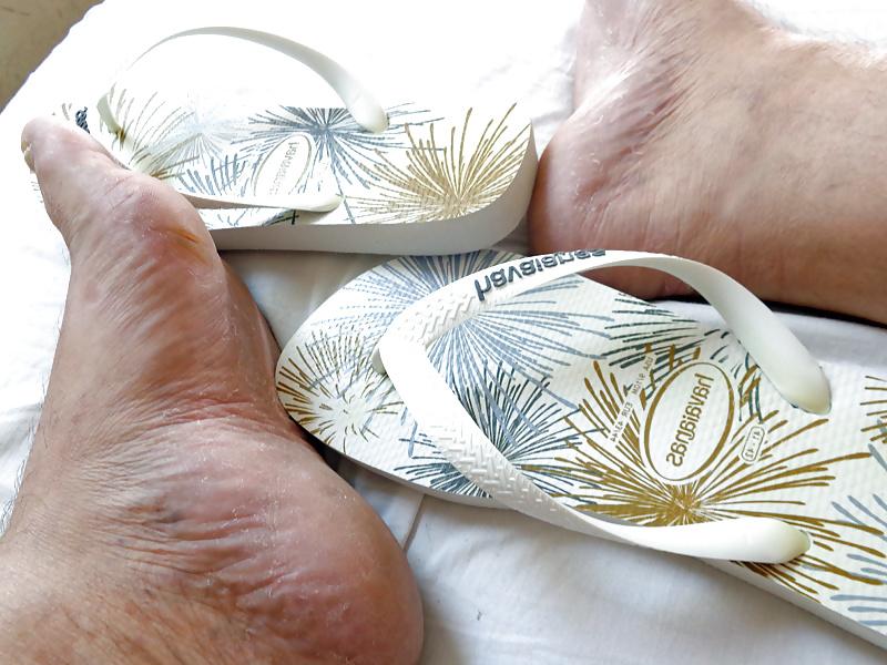 12P DELICIA DE HAVAIANAS