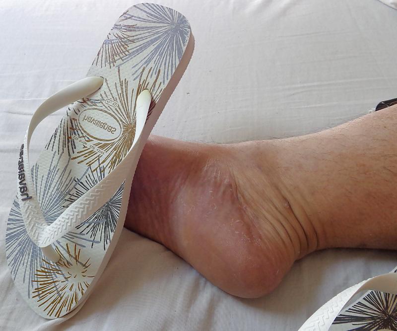 12P DELICIA DE HAVAIANAS