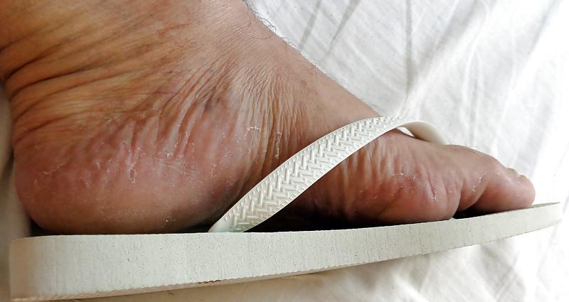 12P DELICIA DE HAVAIANAS