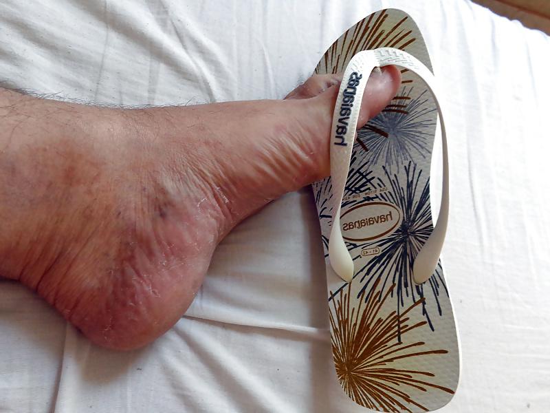 12P DELICIA DE HAVAIANAS
