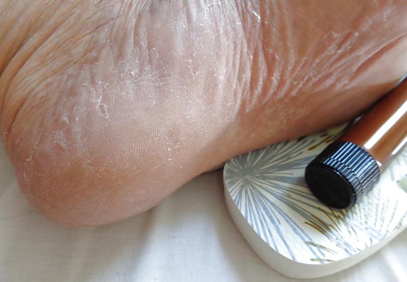 12P DELICIA DE HAVAIANAS