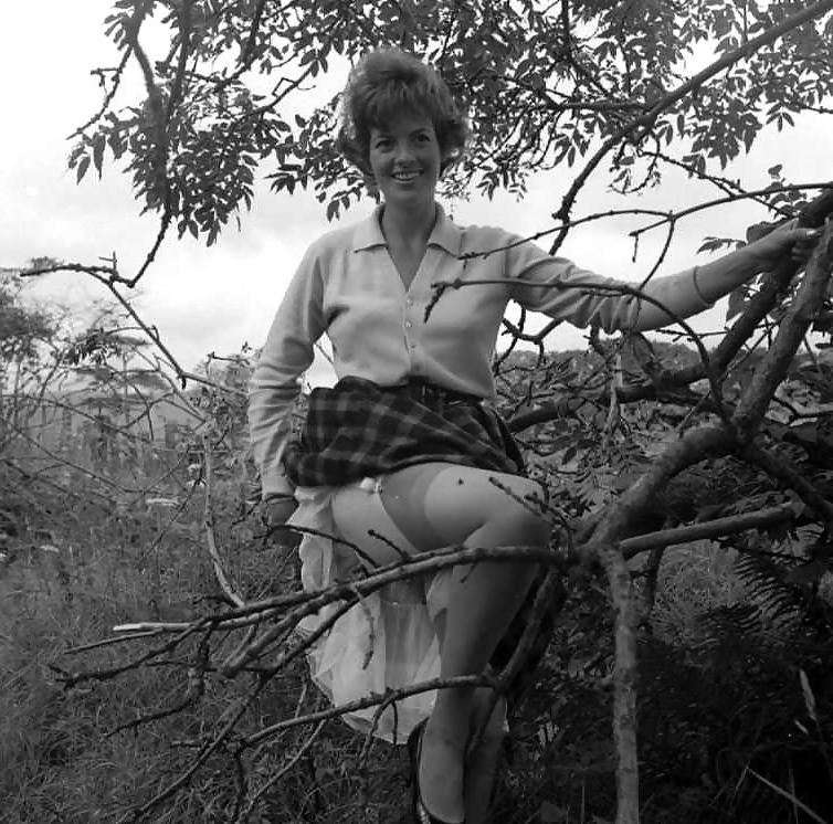 22P Nylons Beauty Summer 1963