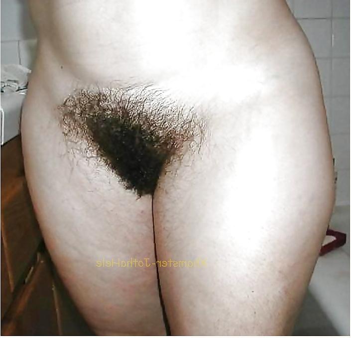 17P Pubes Forest - JothaHele