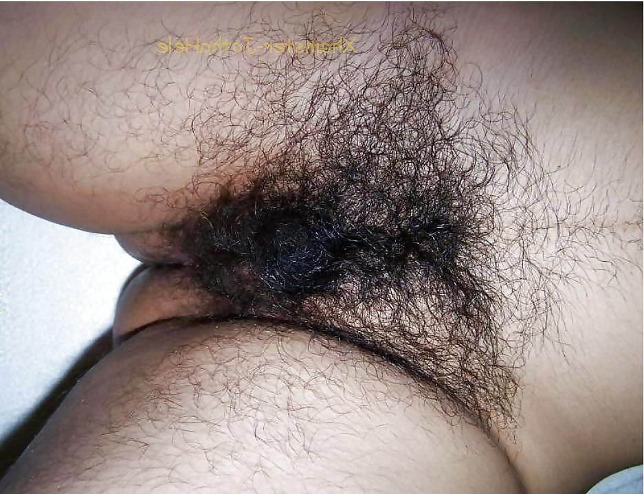 17P Pubes Forest - JothaHele