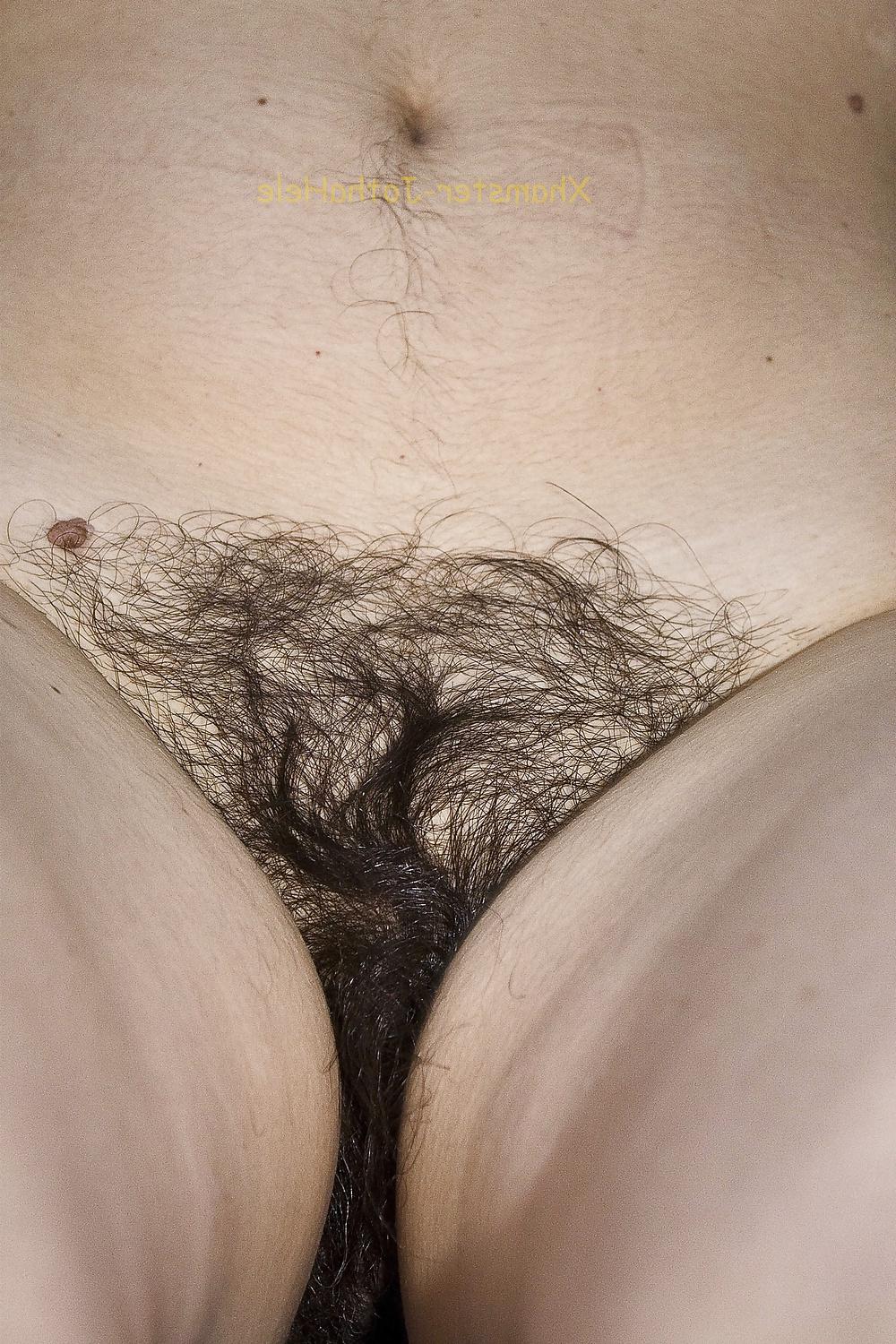 17P Pubes Forest - JothaHele