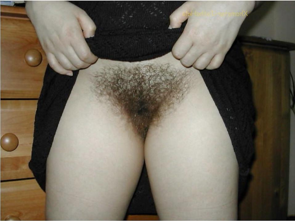 17P Pubes Forest - JothaHele