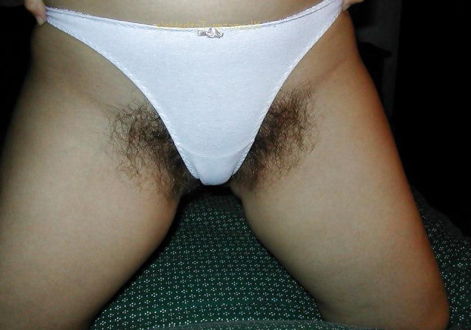 17P Pubes Forest - JothaHele