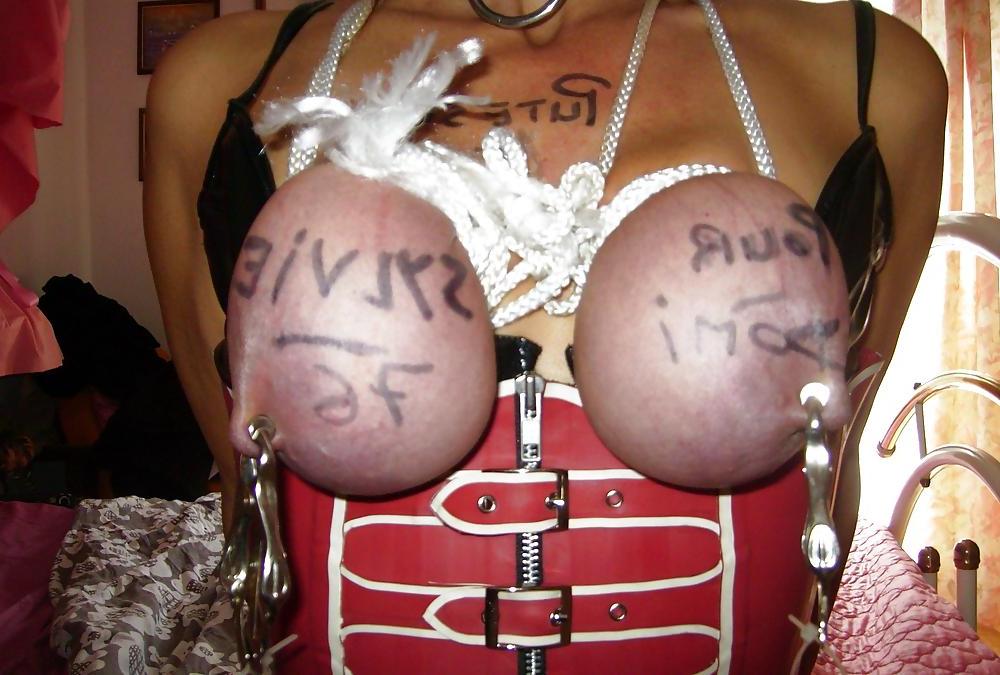 8P Mmmm Blue Tits