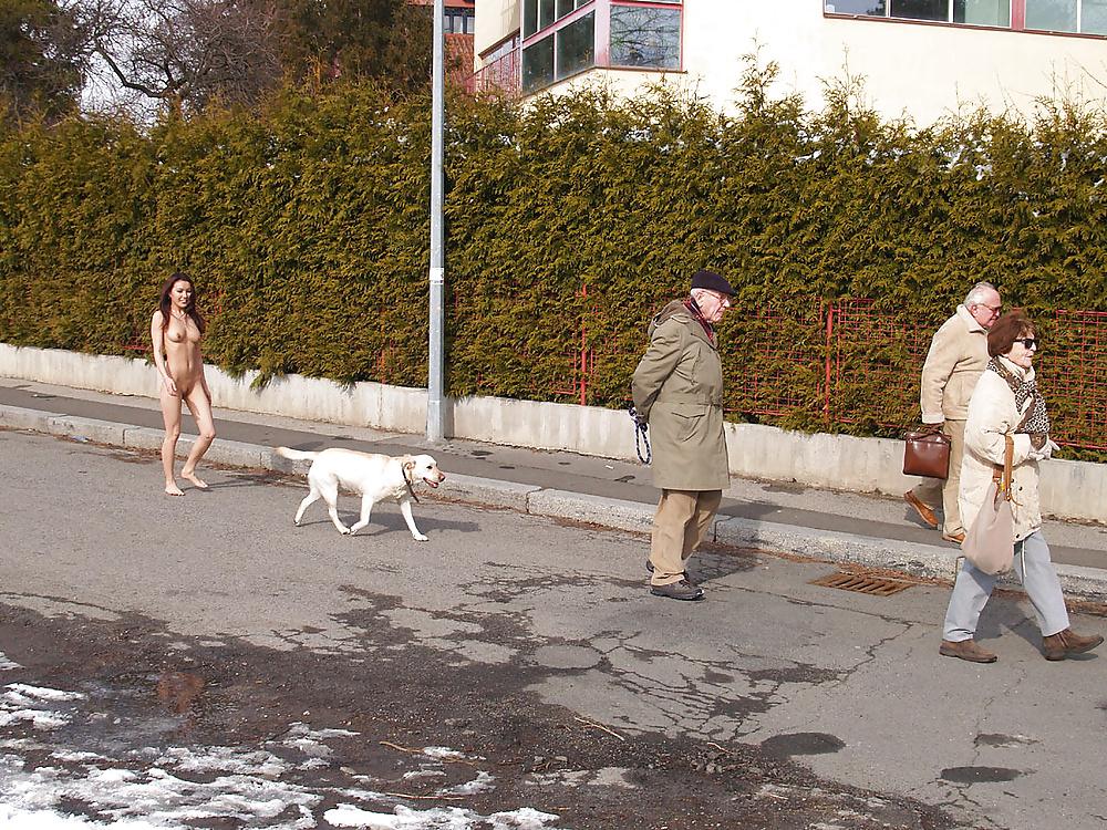 19P Agy is not afraid of the cold winter