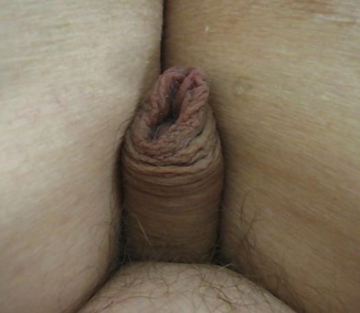 18P Wrinkly dick