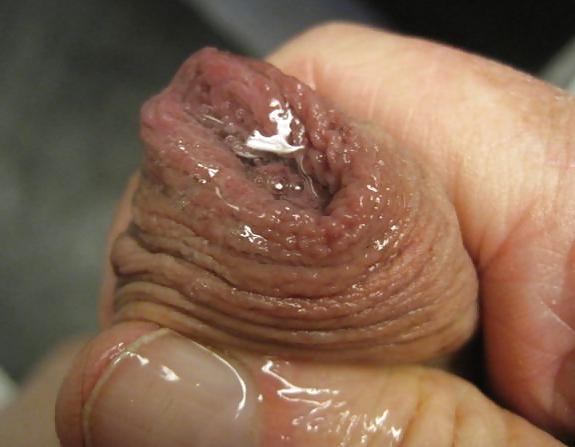 18P Wrinkly dick