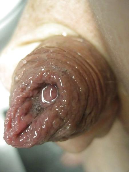 18P Wrinkly dick