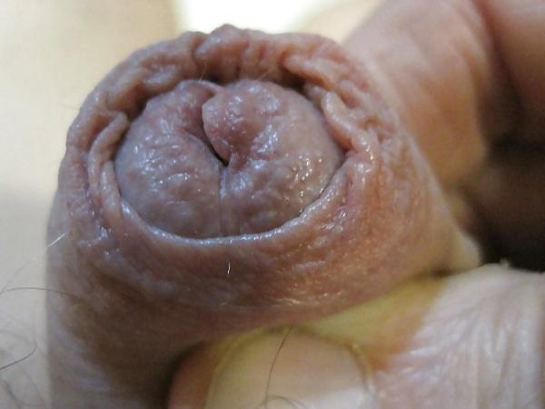 18P Wrinkly dick
