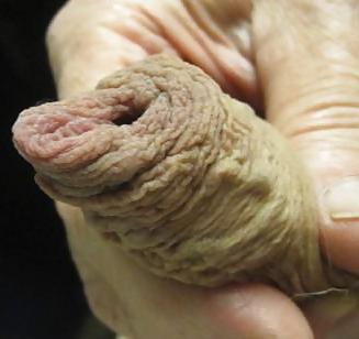 18P Wrinkly dick