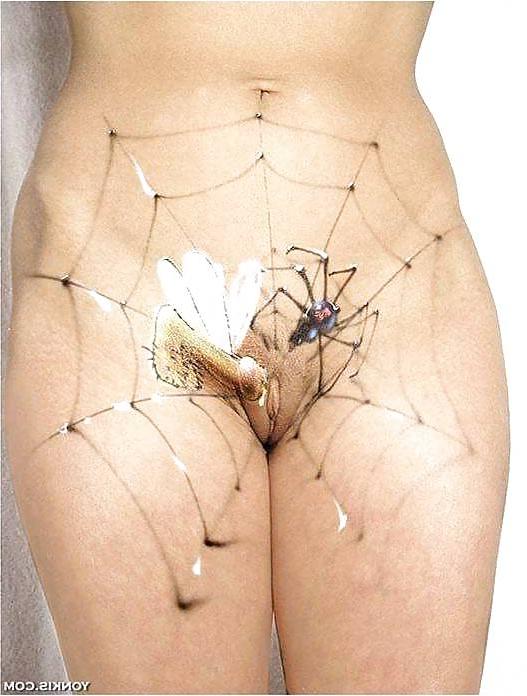 14P Body Paint 5