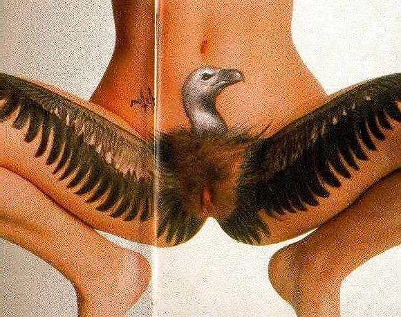 14P Body Paint 5