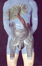 14P Body Paint 5