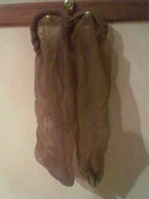 25P Pantyhose 1