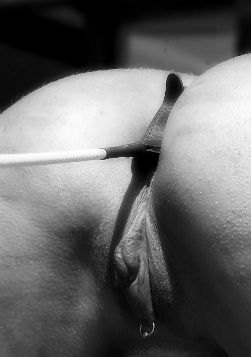 25P TB-collection Pain or lust XXVI