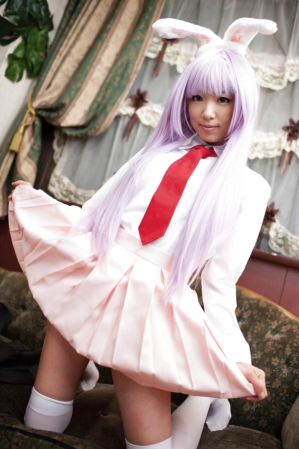 18P Japanese reisen udongein inaba ero cosplay