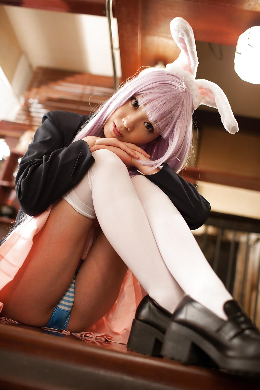 18P Japanese reisen udongein inaba ero cosplay