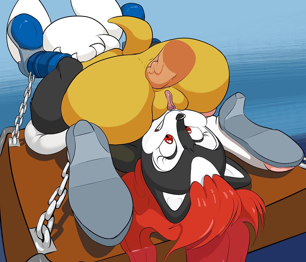 12P Rouge the Bat Hentai