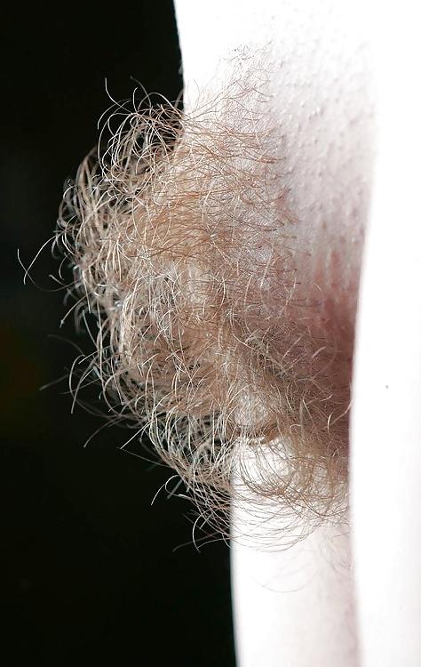 25P Hairy has more fun