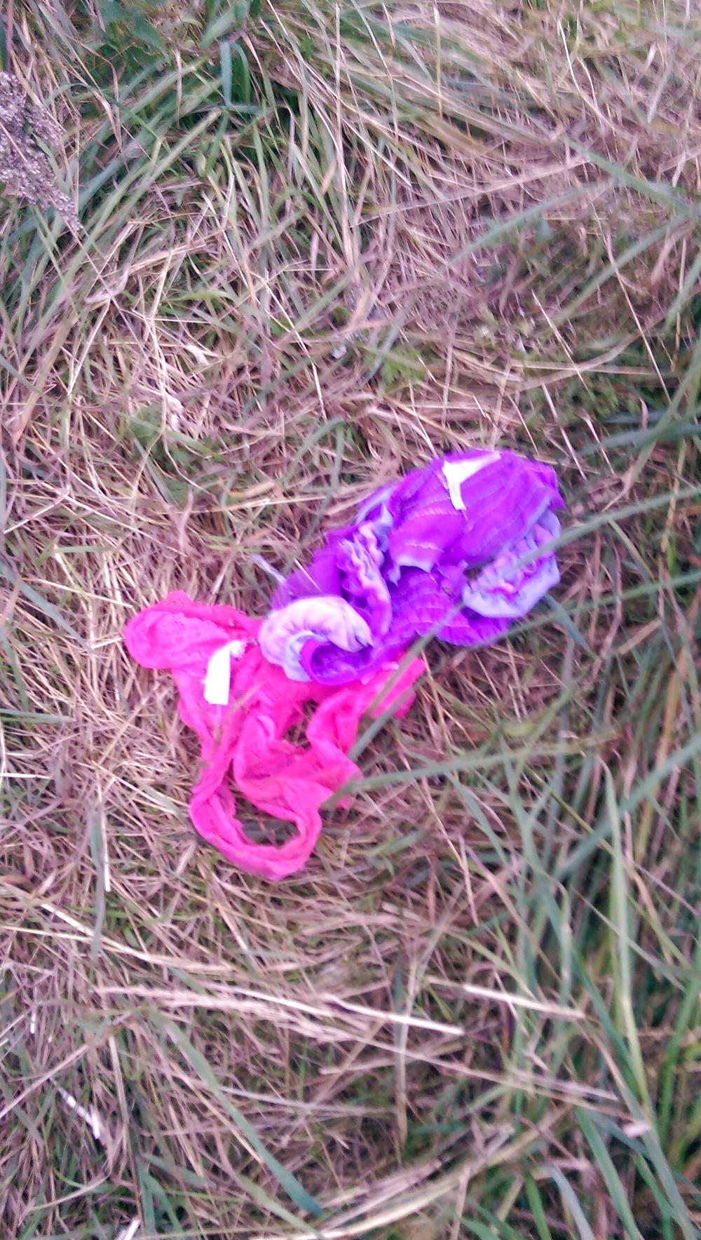 6P More dirty panties in the wild