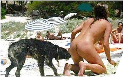 23P A little homor - un peu d'humour