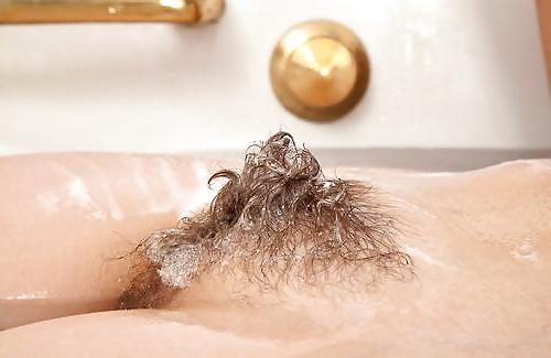 20P Natural beaver 3