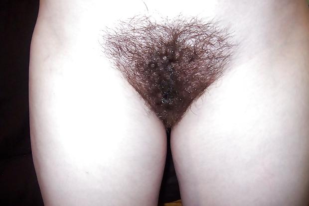 14P French hairy brunette